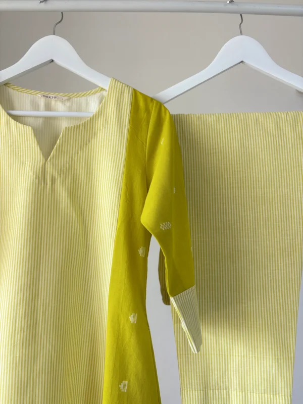 Neon Stripes Panel Kurta Set